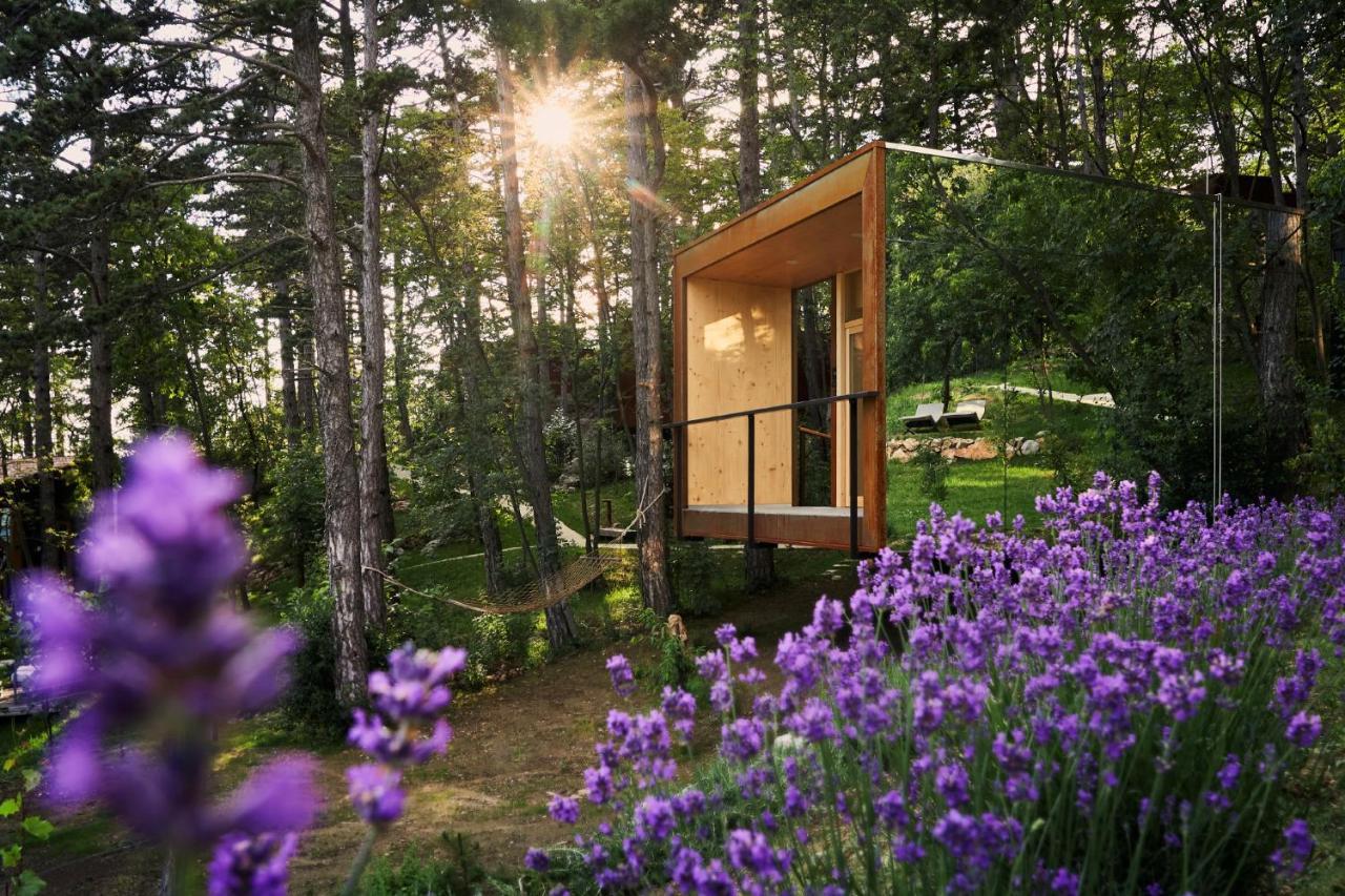 Theodosius Forest Village - Glamping In Valley Bed and breakfast