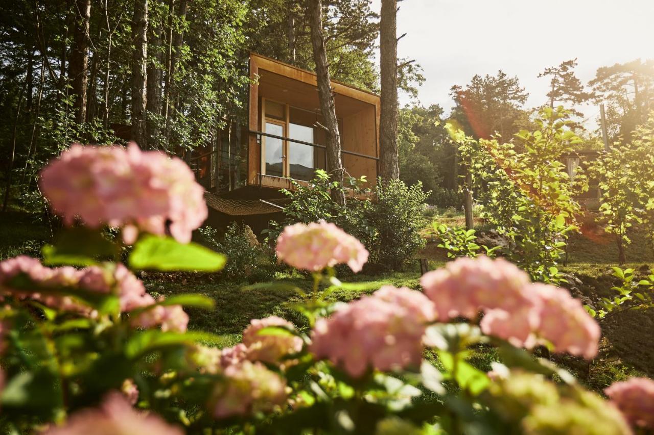 Theodosius Forest Village - Glamping In Valley *