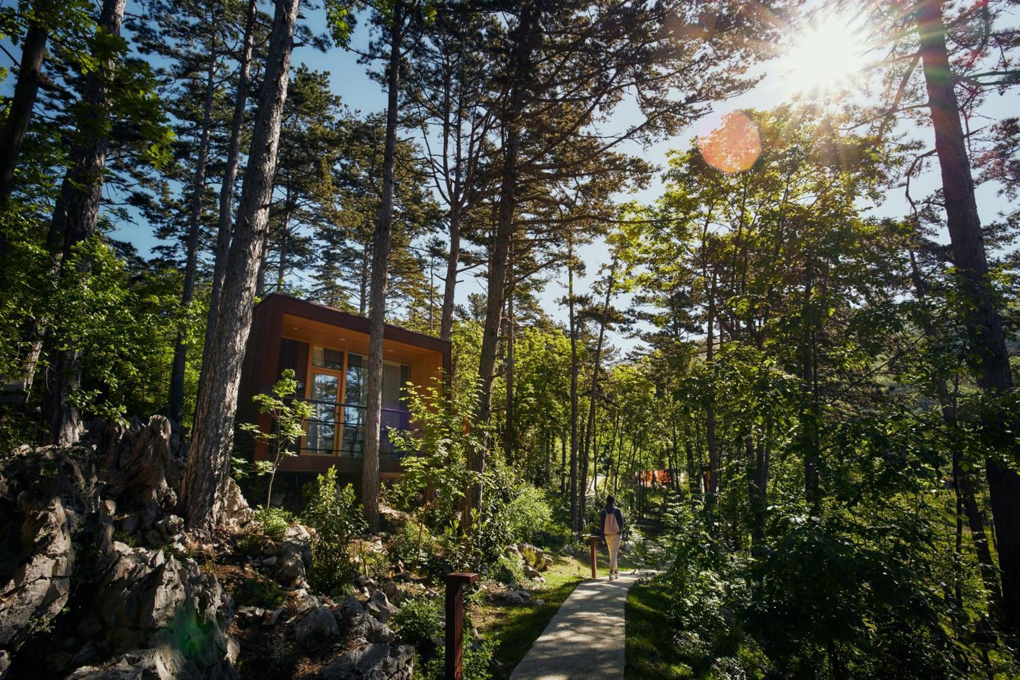 Theodosius Forest Village - Glamping In Valley