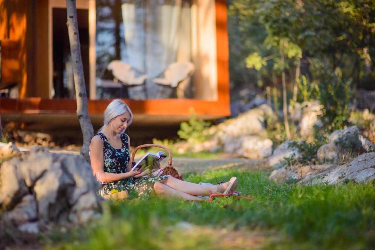 Frühstückspension Theodosius Forest Village - Glamping In Valley