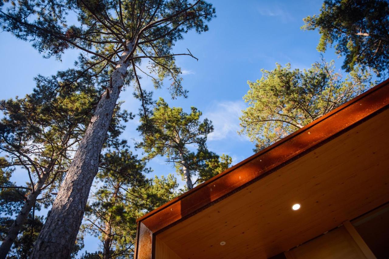 Theodosius Forest Village - Glamping In Valley Bed & Breakfast *